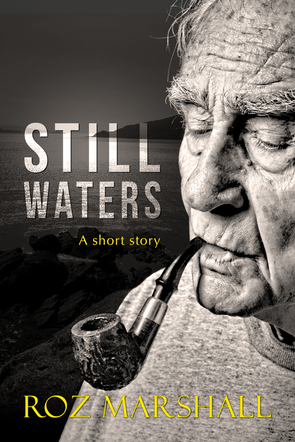 Still Waters cover